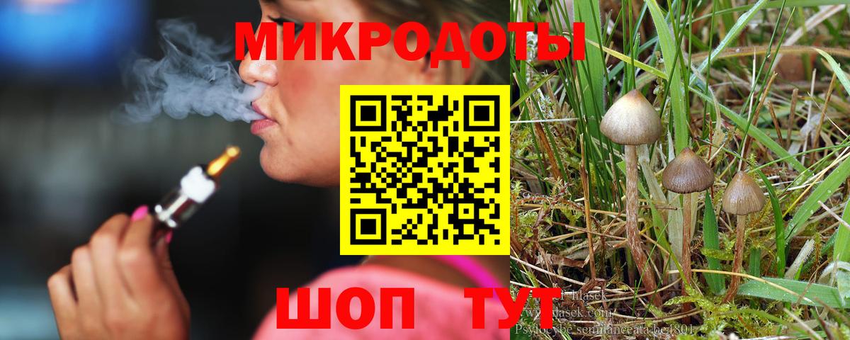 Псилоцибиновые грибы прущие грибы  Вход с VPN  Белово 